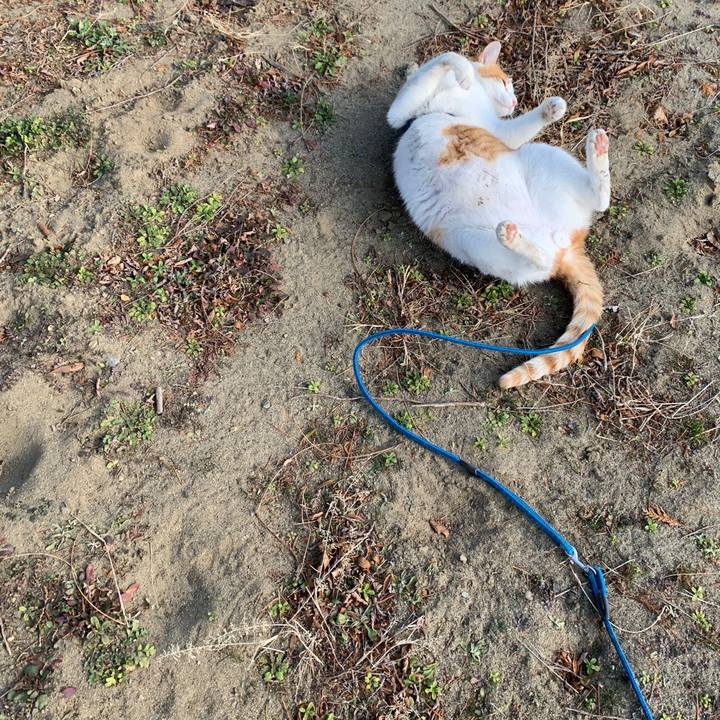 8599b66a b06a 45d0 b95c 43dfe733e3b1 1578285855015