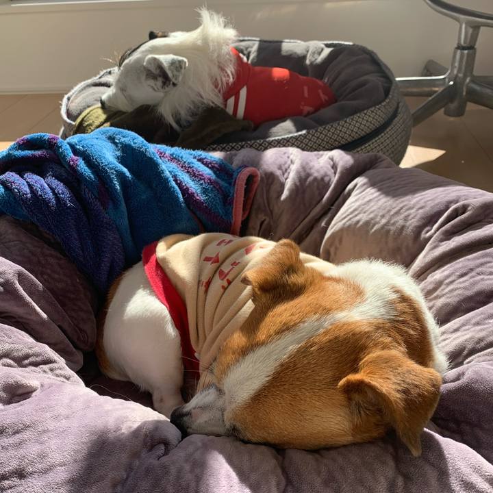 859a1ee3 8073 4727 b0cb f38b27910f9e 1641354283964