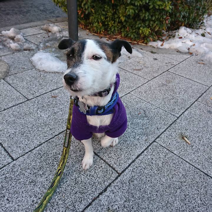 859a2dfe 1d00 4780 8283 65e6a8677608 1517263523326