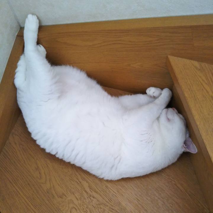 859a3a39 d6ec 416d 9bba 6c329b3da699 1567563570418