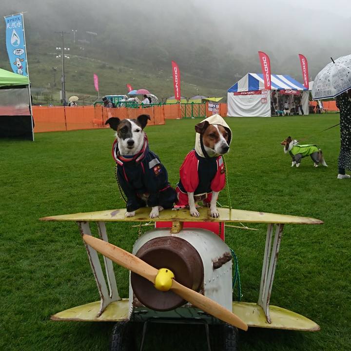 859a46dc 118f 44c6 a0fb 8261fd5f0594 1569054760871