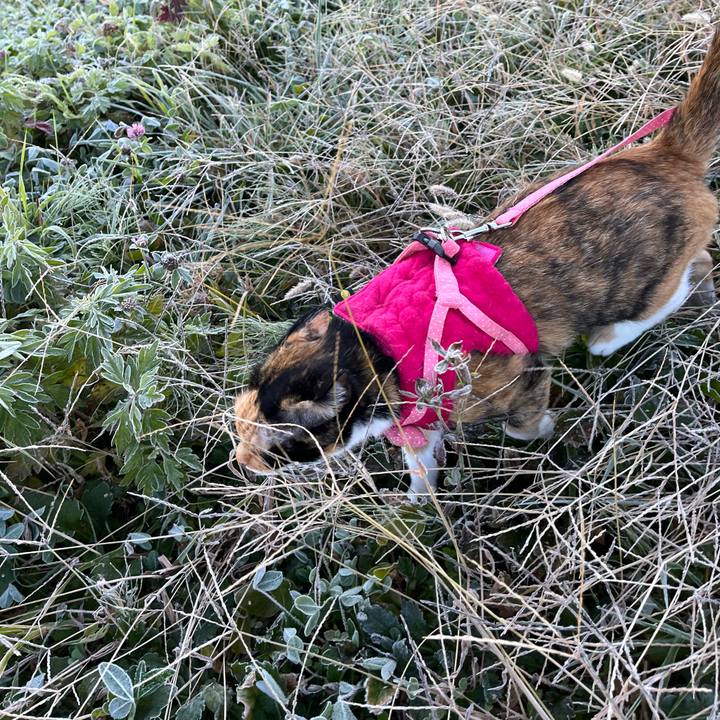 859a4d8c f51c 44c2 8ab8 e7eeeb563e4b 1666747047490