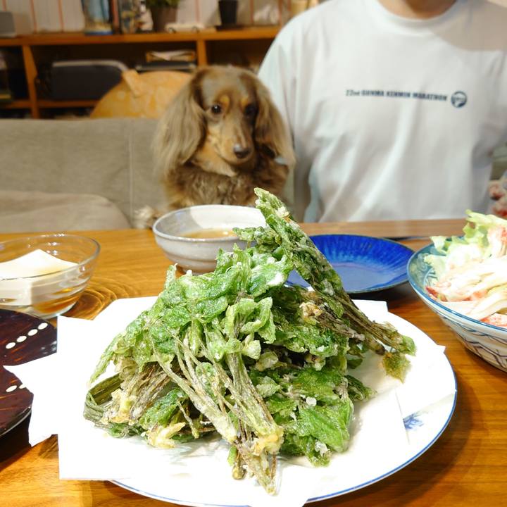 859a55a1 f55c 4754 8dbc 31d2b5bcc609 1652708590511