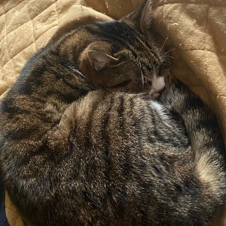 859a6fc6 11a8 4d3d b5dd 2adf631ecda9 1614875613444