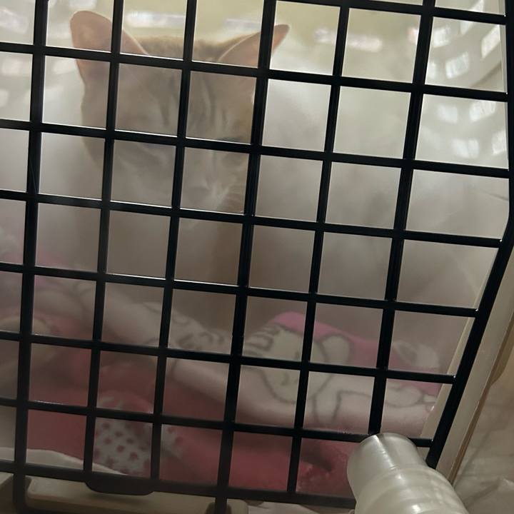 859b1418 daf1 4f95 8253 0f61c2424faf 1676903412567