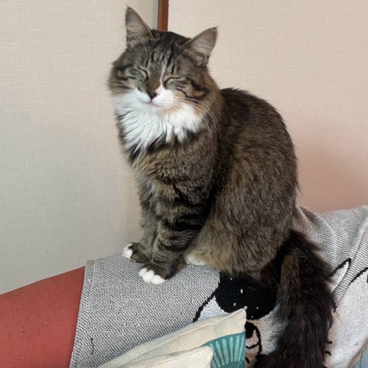 859b176d e63c 49eb b7ba f6858590edde 1739340257815