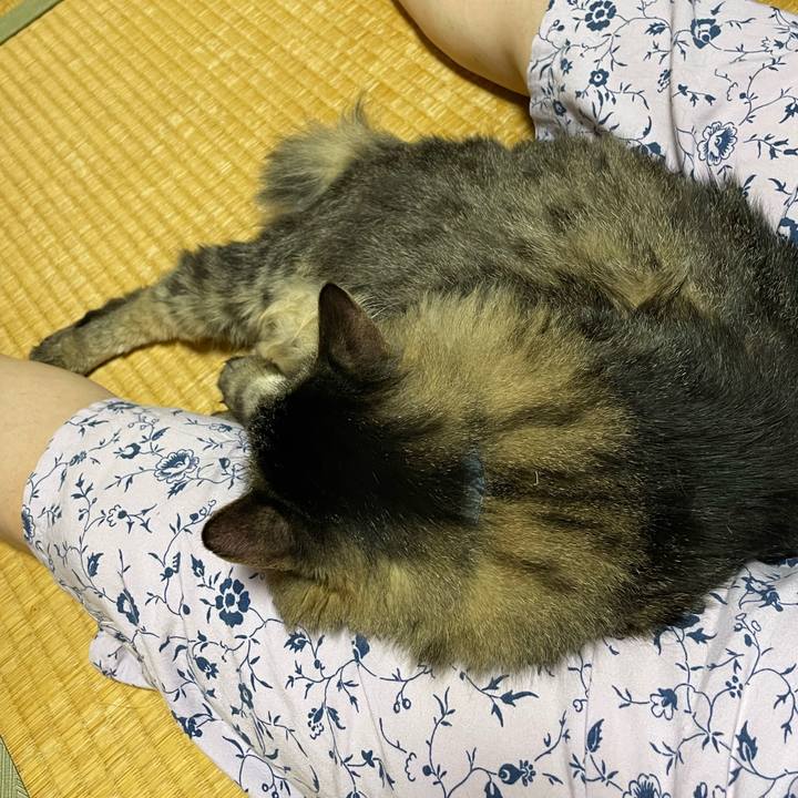 859b36f3 e7ab 4a13 bda1 b50a3f57841c 1758546176933