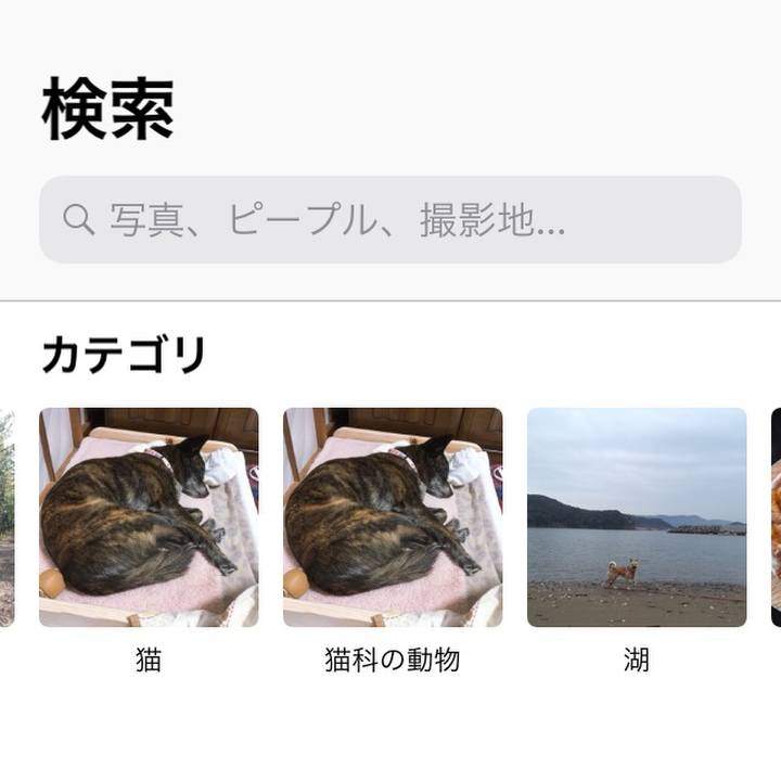 859bbdd9 6543 4ba0 8060 ea99e6f122a9 1553139599434