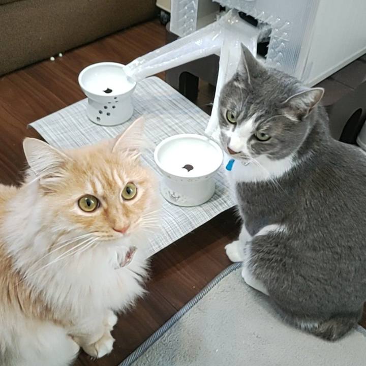 859bc18b ceb4 4c0a aaf6 957c54c259bf 1674115286786