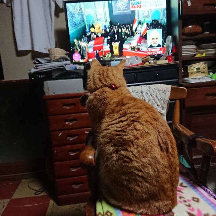 859bc26e a849 40d3 82a0 bfc1a1c6625a 1578258247490