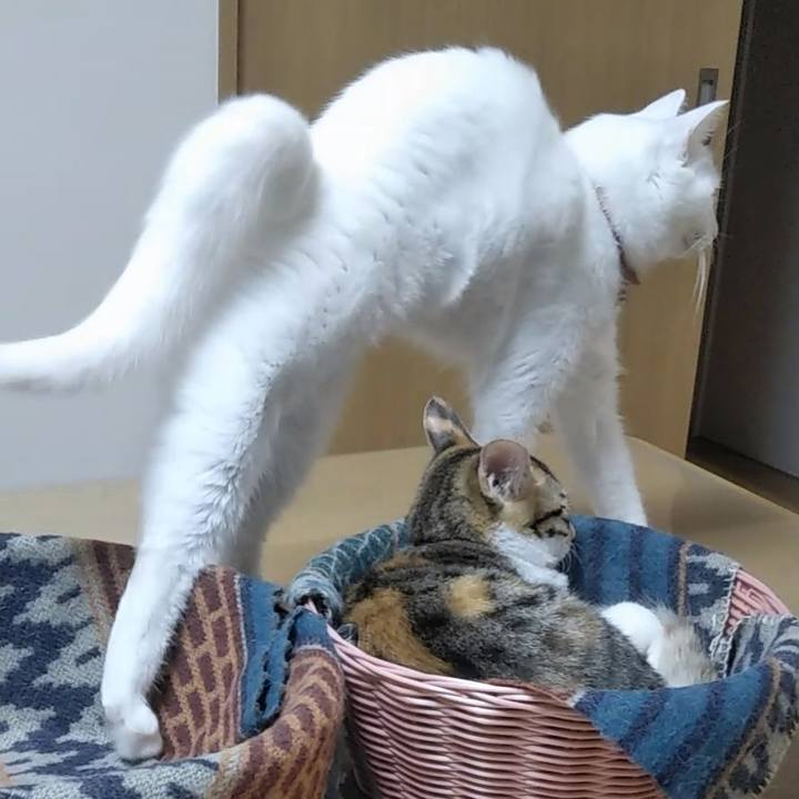 859bca09 0ba8 497e a334 1a09d7b00ae2 1630747729971