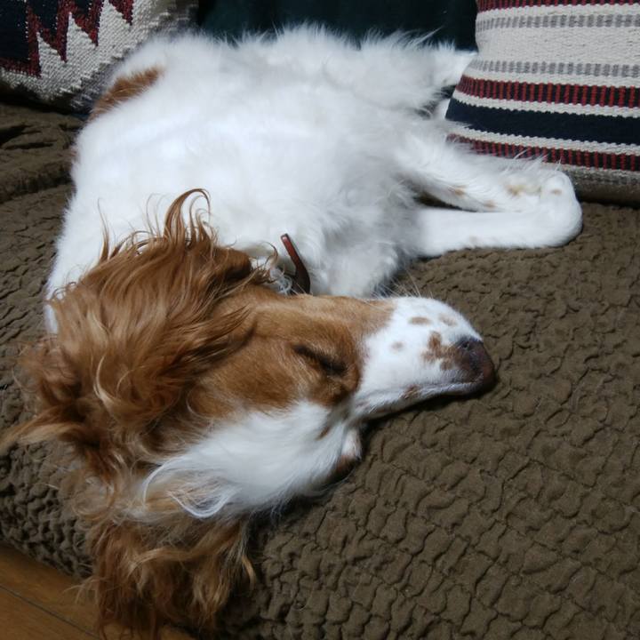 859c07bc 8958 459b 95ef 4527d05de117 1524745726440