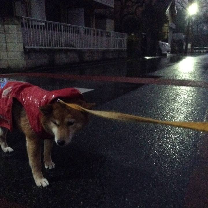 859c2943 b961 4a50 a983 e48997a56d52 1516178155143