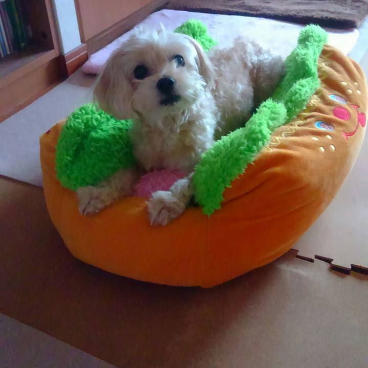 859c7de7 448b 4346 a256 60401ae6733c 1534510150554