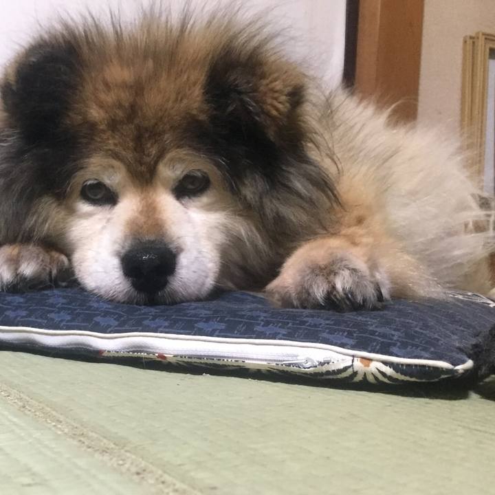 859cc355 eaf4 4873 a0a3 2ad3982881b4 1611881387343