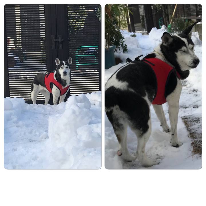 859cdb54 734e 4e32 95dc d51c2f7ed468 1517047094595