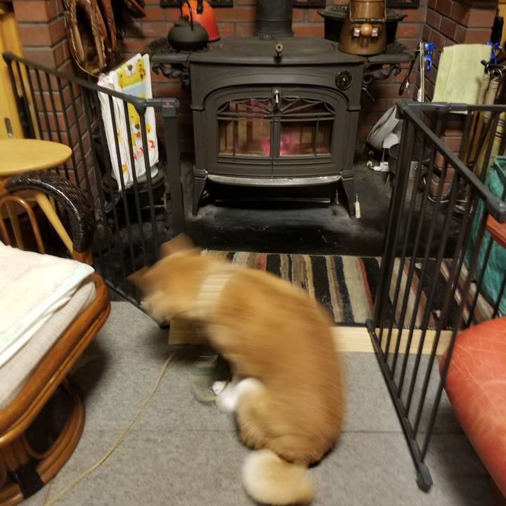 859ce76f 20de 41a5 9e4f b4c2024d1b2b 1667898366126