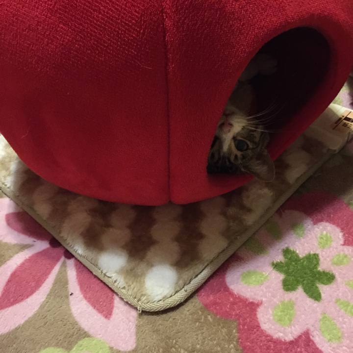 859d0bc0 9db8 4878 ba1f 2ea8df40f038 1521378839764