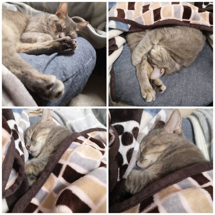 859d9ca9 e09b 410d 96dc 4cc2a41aeb21 1583118536635