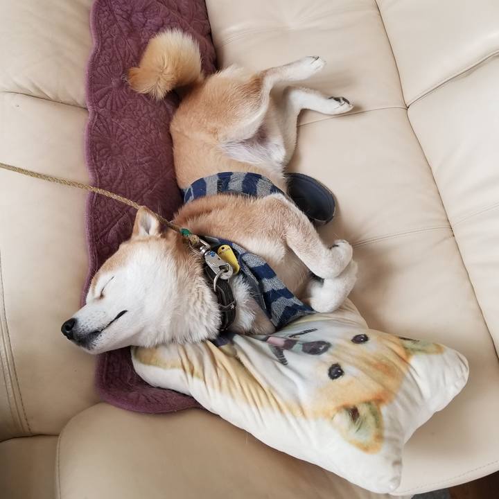 859da430 8fbe 47c0 abb0 29594758c9ee 1613616816732