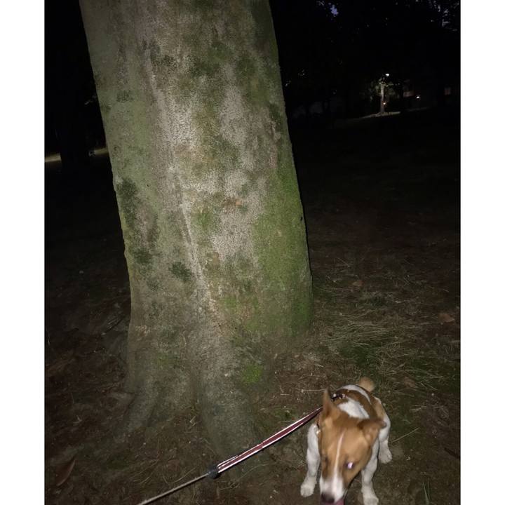 859dbb18 daad 424d 96fe e5532eb2048a 1658662643209