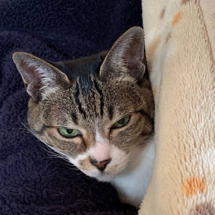 859dc69e a61c 45a2 aedf d42a9f9b477d 1550019293073