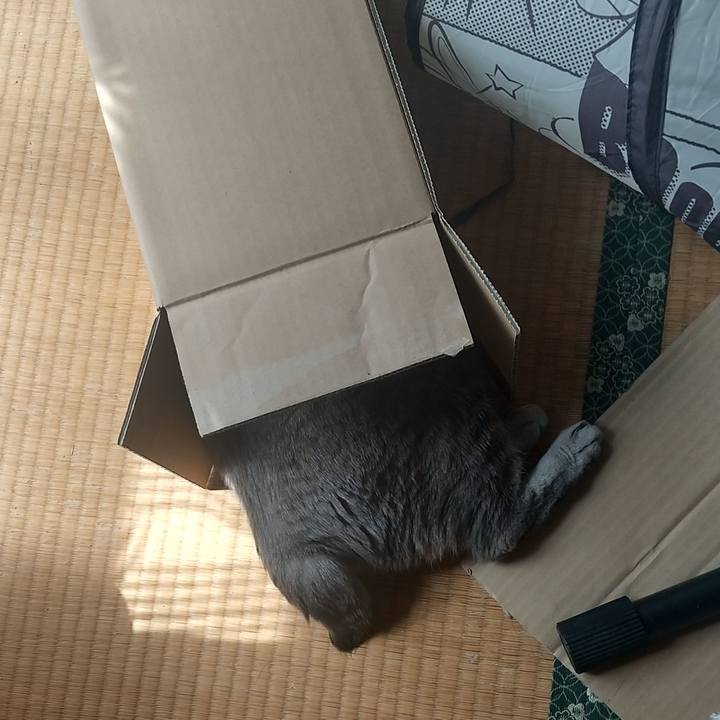 859dc89a 9008 45af 9e84 13ef617c5896 1649639911095