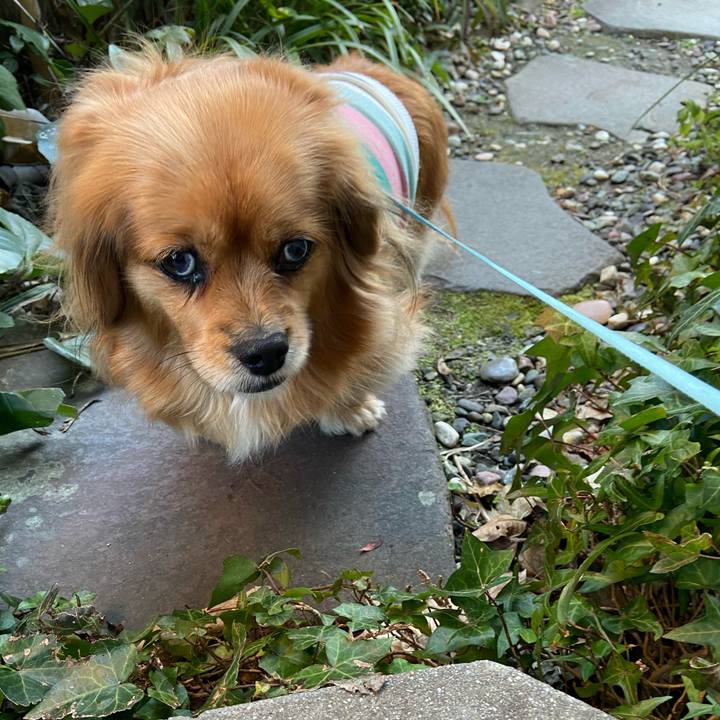 859e632d b1c2 454e 8166 663ac032df4d 1613773777659