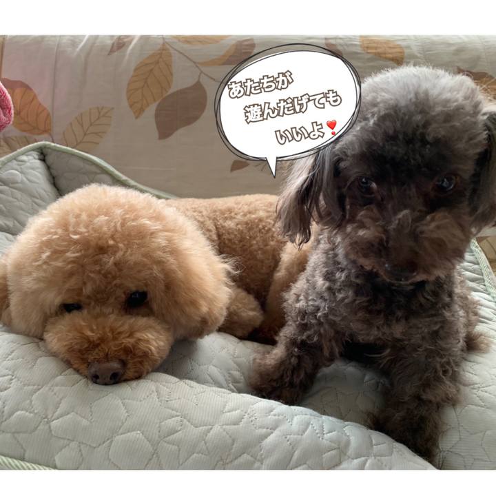 859e774d 23f6 4527 92a1 4bbe7440a6fe 1561862098908