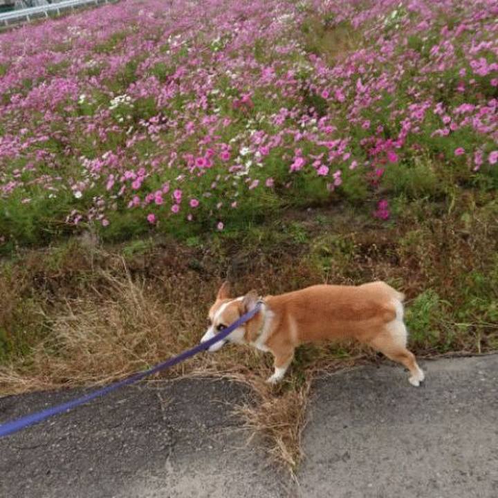 859e7b77 160c 4031 9972 0cf86e151214 1586588051489