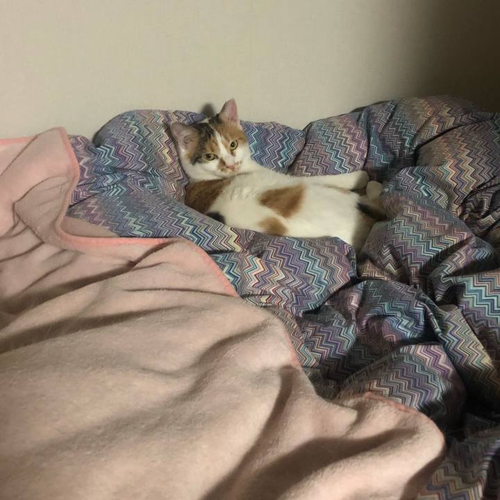 859e8fe0 8137 4693 b07e 6269659c12a5 1605018578554