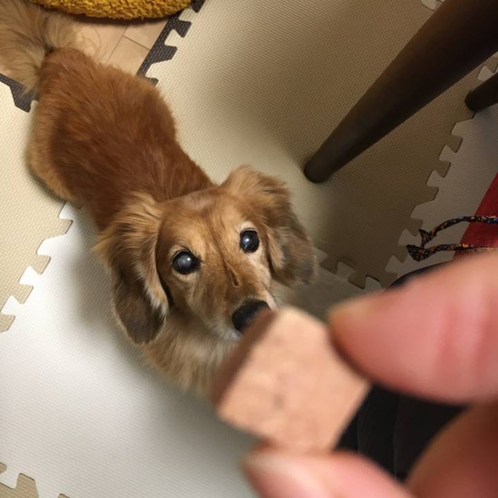 859e92bf 3f88 48bc be8e 0dbb61056a0c 1636723584863