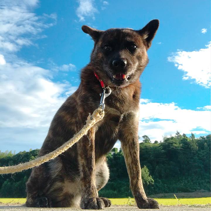 859eb01e 95b9 48e5 a6ee 9f1a78077413 1536015278242