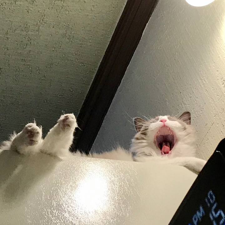 859ebe78 a110 4660 ab9a 8940fa83fd4e 1595404177735