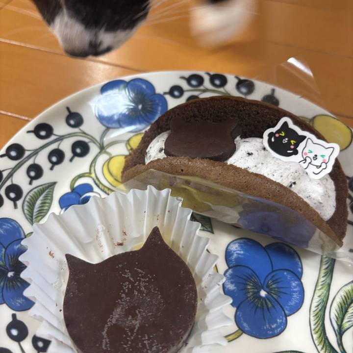 859ebf91 006f 4af1 9240 140b95afb3a7 1770708494628