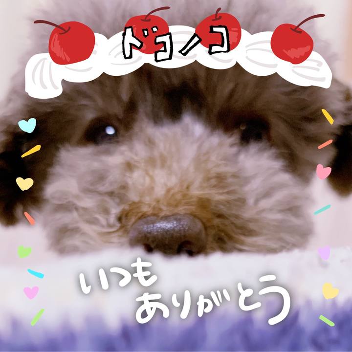 859ec67d 3408 44ec be0a 39a45aa7a2d9 1686006227749