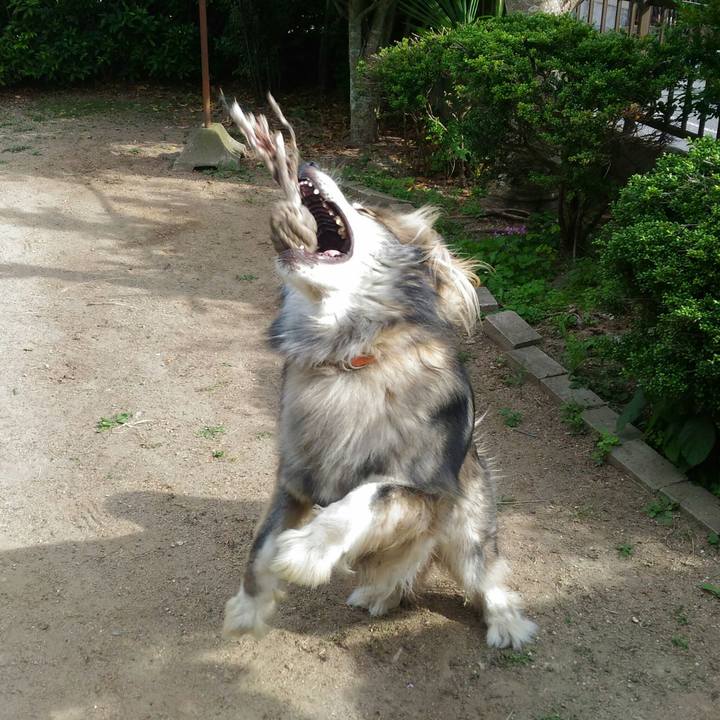 859edd47 1df6 4c9a bf2e 93a06c3536e9 1559698611016