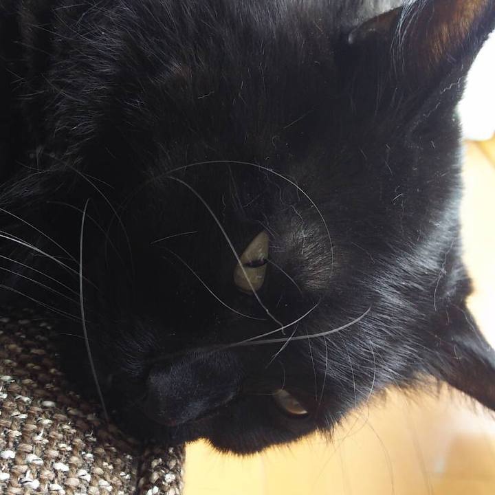 859ef1e1 7367 40a1 8ca3 dbb2420c8d70 1519540738785