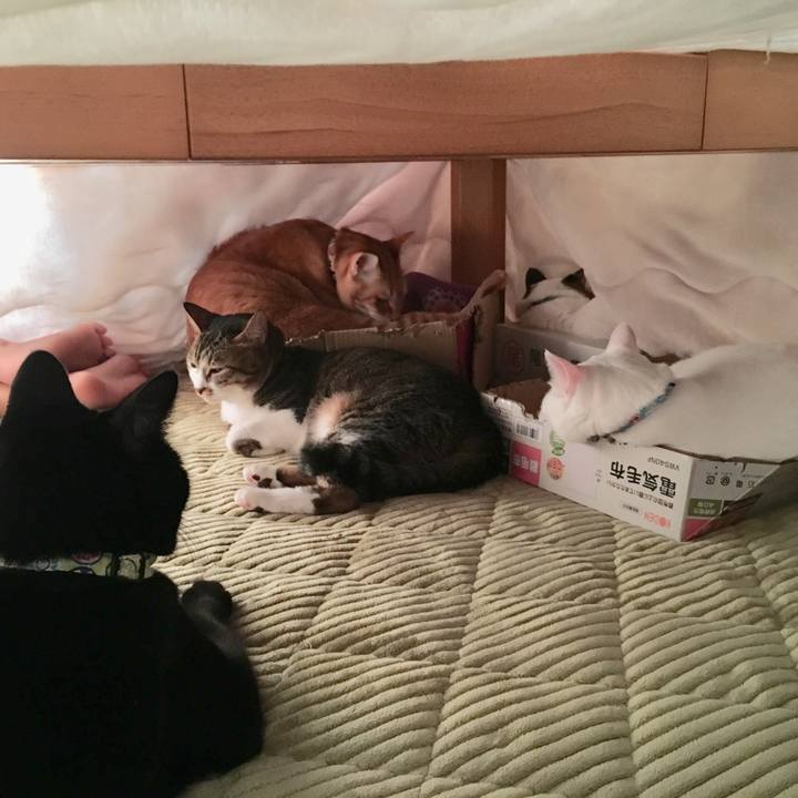 859ef658 d508 4d67 955f 720d05f88356 1546664120651