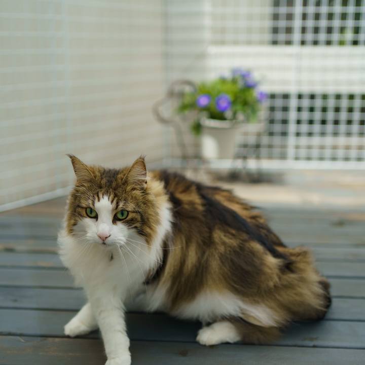 859efb04 7d68 44a1 a46c 5ed9dbfe2e2b 1651046551678