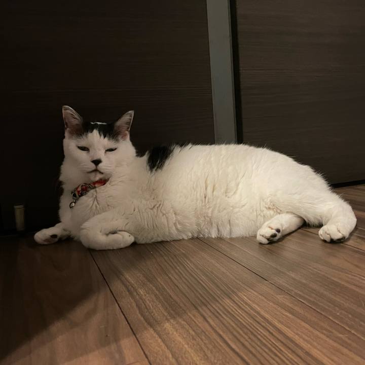 859f103d f110 43ff a9d8 e1059f1b6929 1746354183211