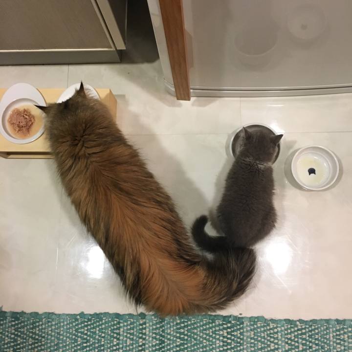 859f343b 8ca4 4aec 9e66 85e39961c5d3 1626482457513