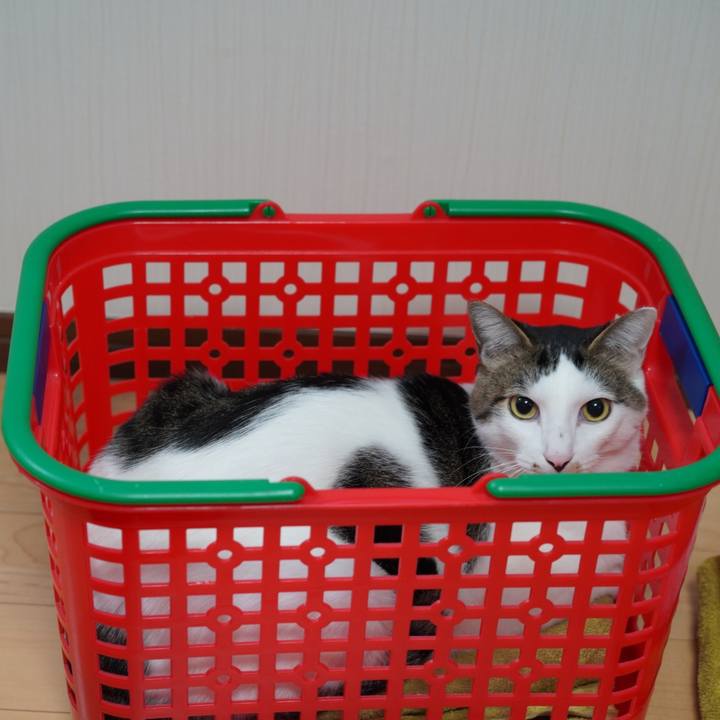 859f62d5 cdd0 416e b61e 70079397d0f9 1577753057749