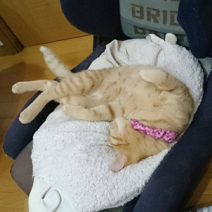 859f8b6e 6387 4c28 895d bb5aebef36be 1547643758542