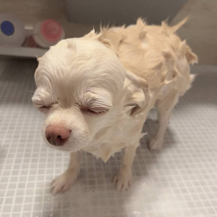 859fdb4e 64c8 471e 83c2 e8b92e97b7da 1727870494323