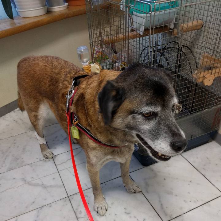 859fe94c 443f 4afe b4a1 ce5d83ca414e 1543564374734