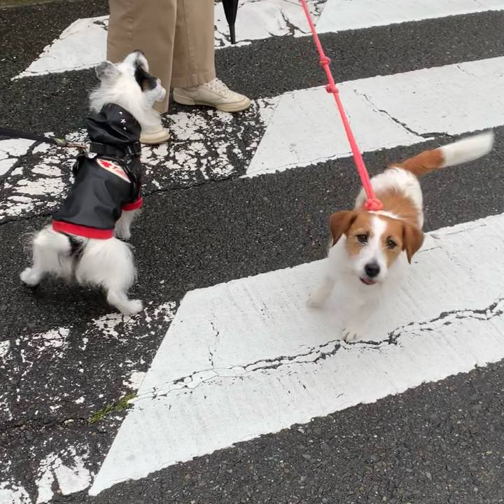 85a03850 0c5a 45bf b8ef b1313b8bfe54 1746519950035