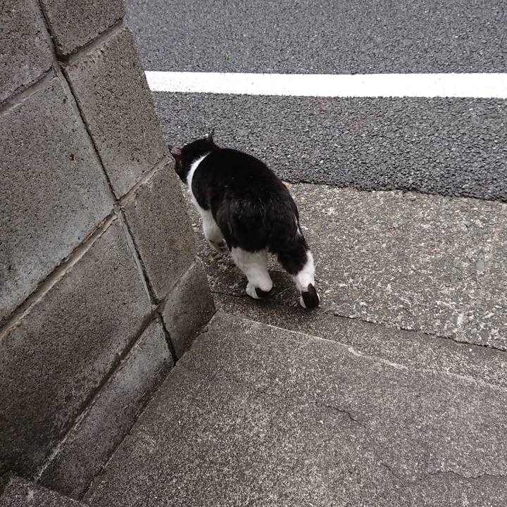 85a03cde 519a 4e99 89f1 90c16a5b169e 1680414993252