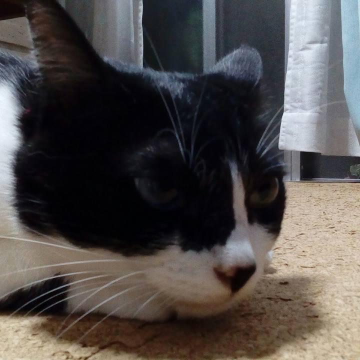 85a083ca 6b12 4c4b 9deb 4bf44eaa0788 1507641240249