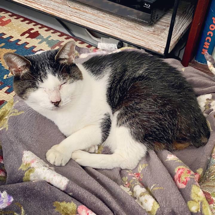 85a0a5c8 e0a2 4335 8044 e3790d36c9fd 1602744800890